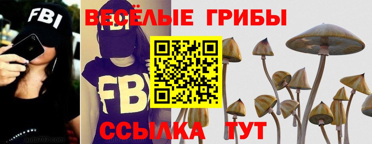 Галлюциногенные грибы GOLDEN TEACHER Майкоп